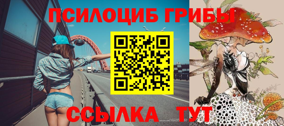 Галлюциногенные грибы Cubensis Ставрополь