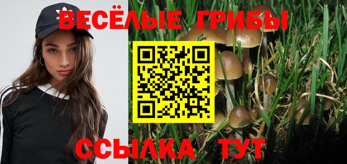 Ставрополь  Псилоцибиновые грибы Psilocybine cubensis  Вход с VPN  Псилоцибиновые грибы Psilocybine cubensis 