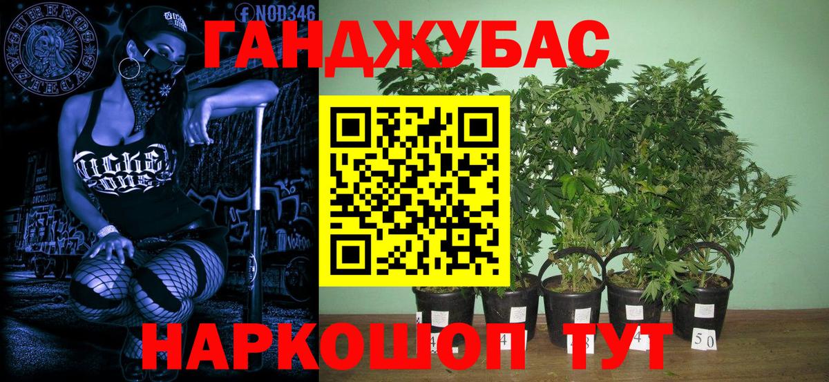 Каннабис план  Бошки марихуана марихуана  Вход с VPN  Ставрополь  МАРИХУАНА MAZAR  Конопля White Widow 